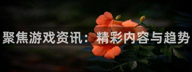 多彩娱乐网页登录入口下载：聚焦游戏资讯：精彩内容与趋势