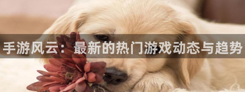 多彩娱乐4招商：手游风云：最新的热门游戏动态与趋势
