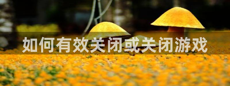 多彩娱乐代理登陆：如何有效关闭或关闭游戏