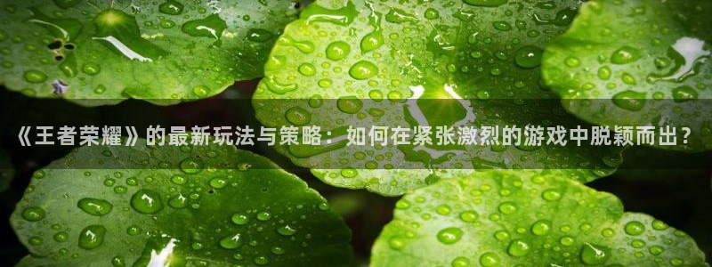 多彩娱乐4开户：《王者荣耀》的最新玩法与策略：如何在紧张激烈