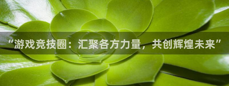 多彩娱乐网址官网：“游戏竞技圈：汇聚各方力量，共创辉煌未来”