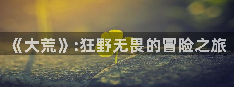 多彩娱乐4招商：《大荒》:狂野无畏的冒险之旅