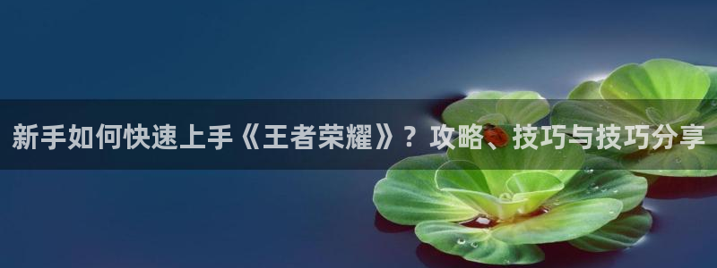 多彩娱乐注册登录平台：新手如何快速上手《王者荣耀》？攻略、技