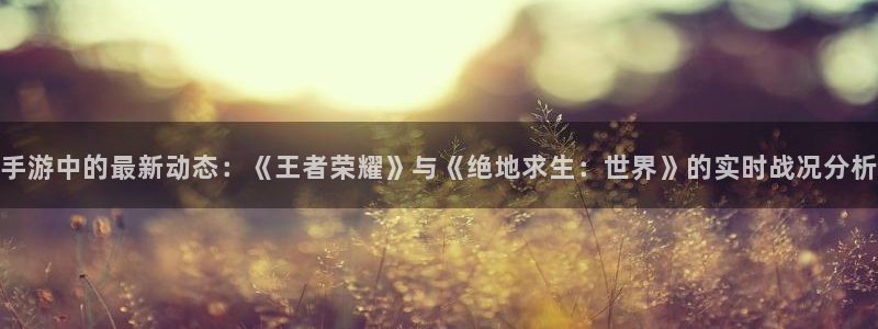 多彩娱乐注册服务条款：手游中的最新动态：《王者荣耀》与《绝地