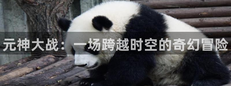 多彩娱乐下载链接：元神大战：一场跨越时空的奇幻冒险