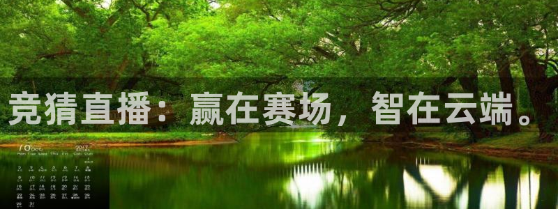 熊猫直播app：竞猜直播：赢在赛场，智在云端。