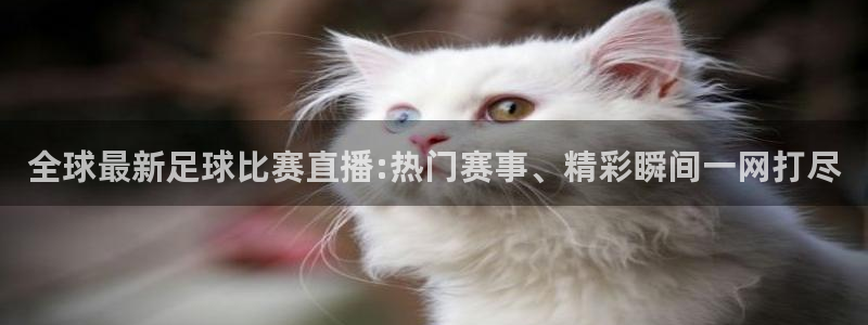 熊猫体育直播信誉第一.好玩网.top：全球最新足球比赛直播:热门赛事、精彩瞬间一网打尽