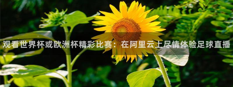 熊猫体育手机版下载：观看世界杯或欧洲杯精彩比赛：在阿里云上尽情体验足球直播