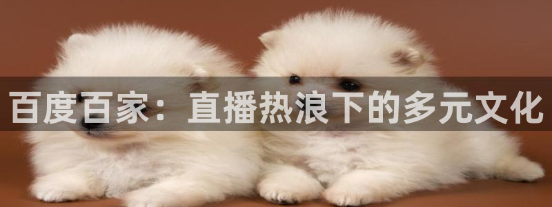 熊猫直播免费观看：百度百家：直播热浪下的多元文化