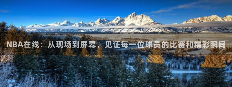 熊猫足球直播：NBA在线：从现场到屏幕，见证每一位球员的比赛和精彩瞬间