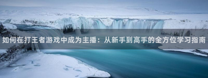 熊猫直播间：如何在打王者游戏中成为主播：从新手到高手的全方位学习指南